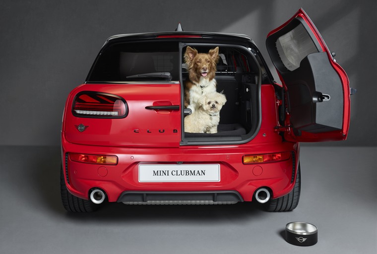 2019 Mercedes-Benz GLA-Class Double High Elevated Dog Bowls & Cat Dishes -  Custom Pet Feeder