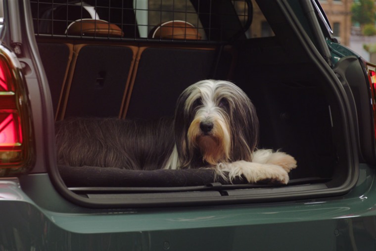 kia ev6 boot dog