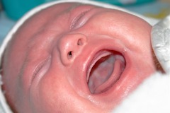 How many people named their baby after a car in 2014? How many people named their baby after a car in 2014?